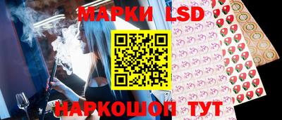 альфа пвп Новодвинск