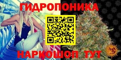 мдпв Новокубанск
