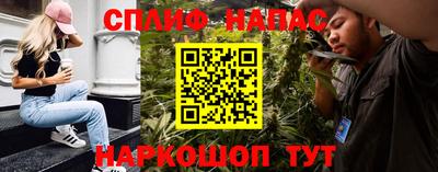 альфа пвп Новодвинск