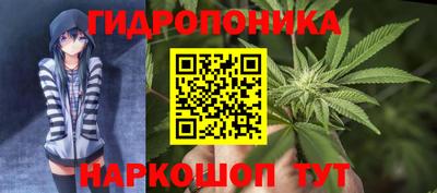 крисы Новозыбков