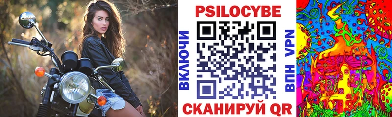магазин продажи наркотиков  Севастополь  Псилоцибиновые грибы Psilocybine cubensis 