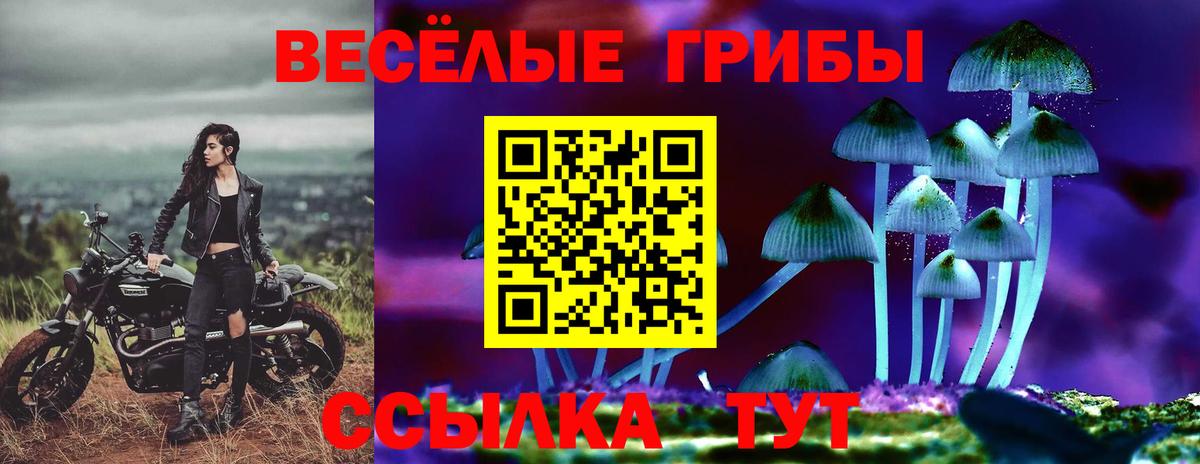 Севастополь  Псилоцибиновые грибы Psilocybine cubensis  Вход с VPN 